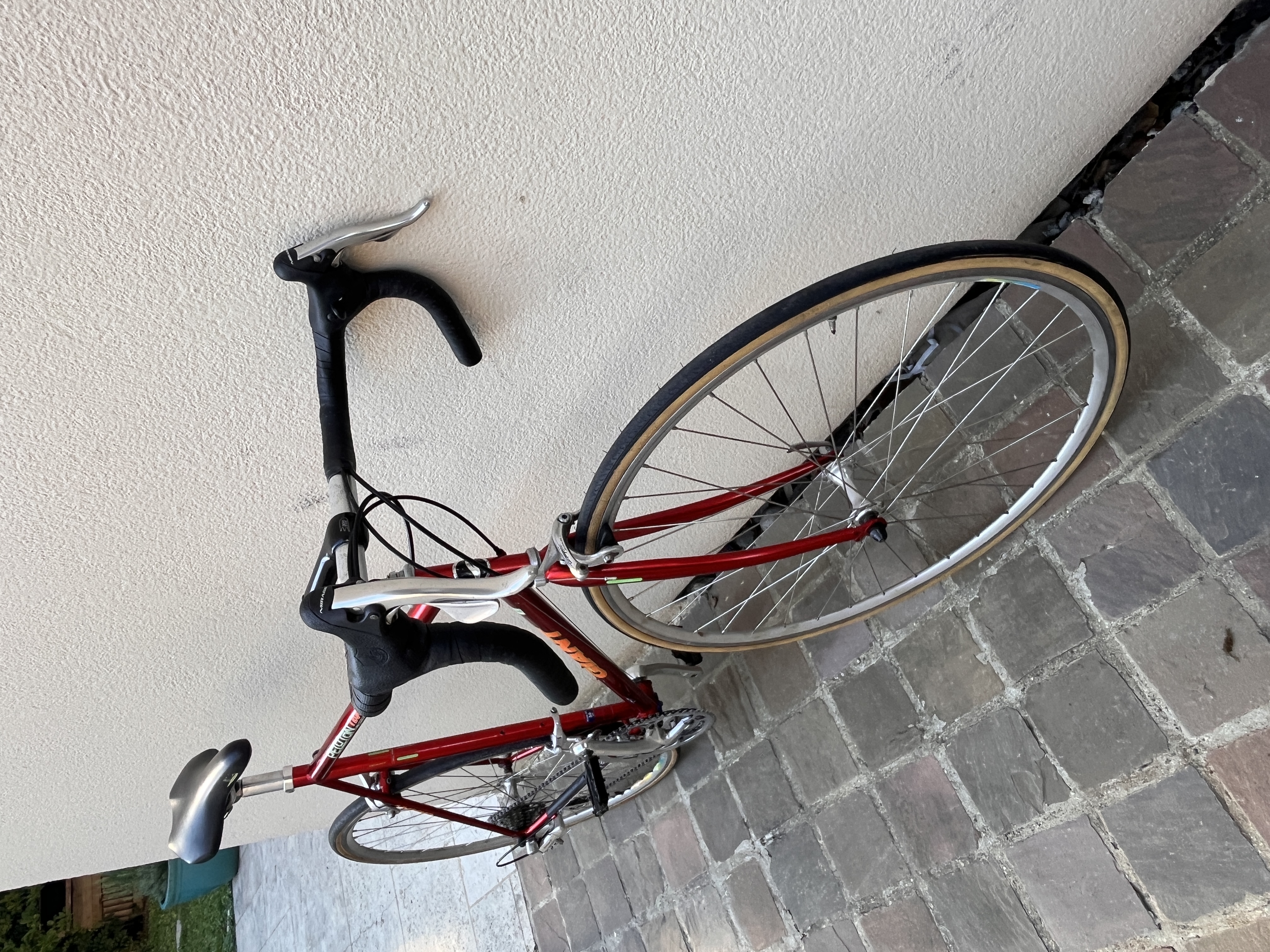 shifters Campagnolo
