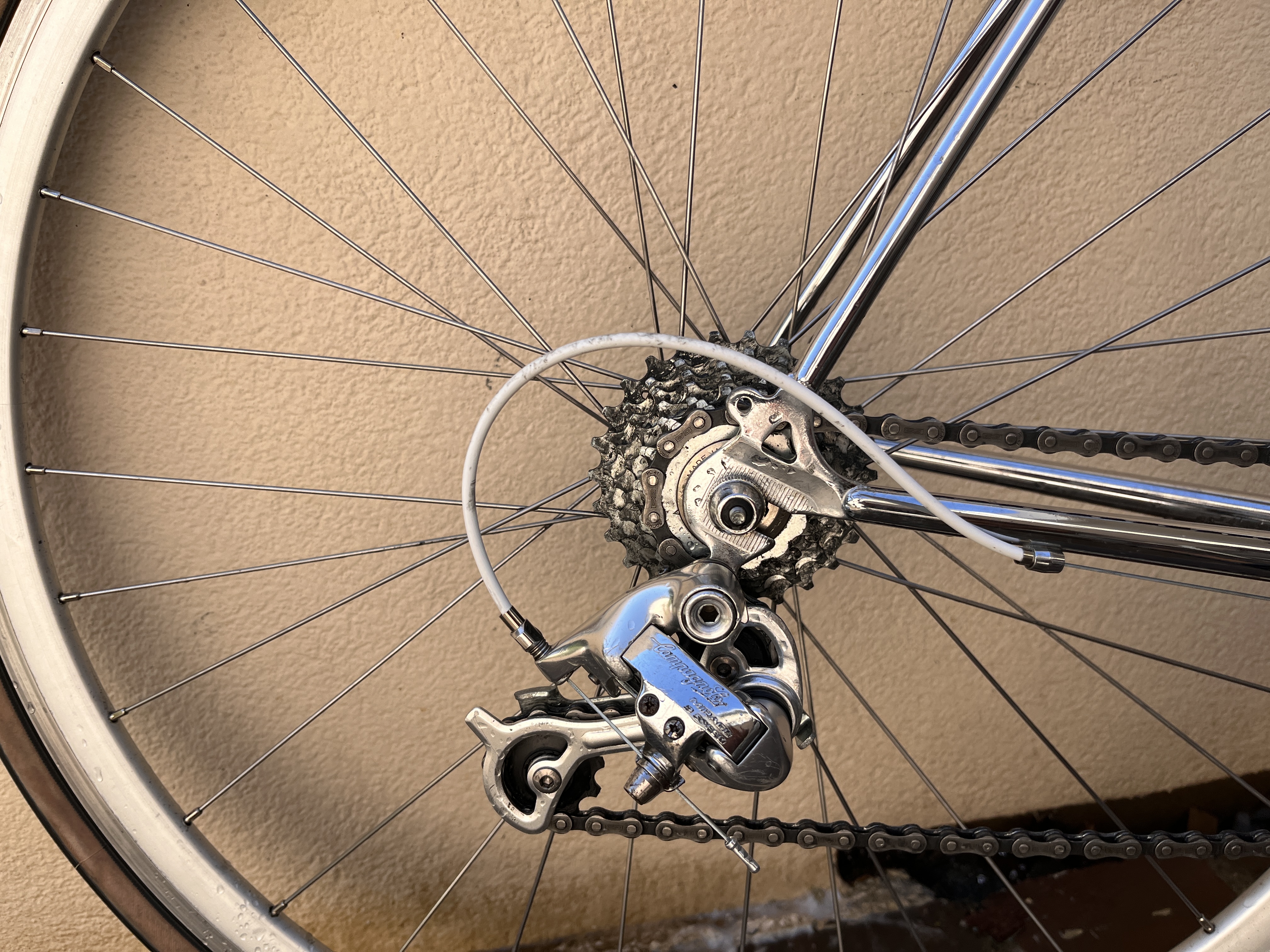Transmission Campagnolo